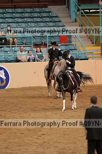 Proof 09yn-22443