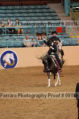 Proof 09yn-22444