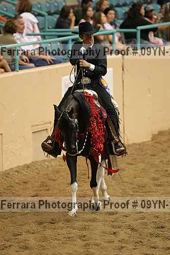 Proof 09yn-22454