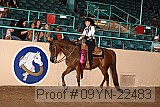 09yn-22483 proof
