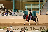 09yn-22488 proof