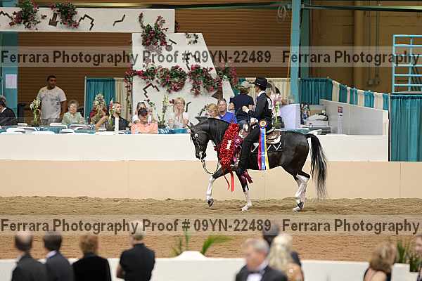 Proof 09yn-22489