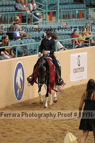 Proof 09yn-22496