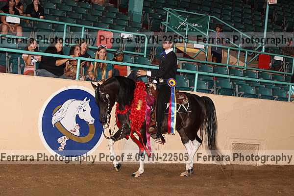 Proof 09yn-22505