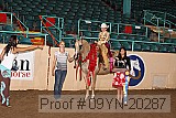 09yn-20287 proof