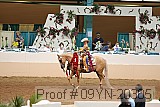 09yn-20305 proof
