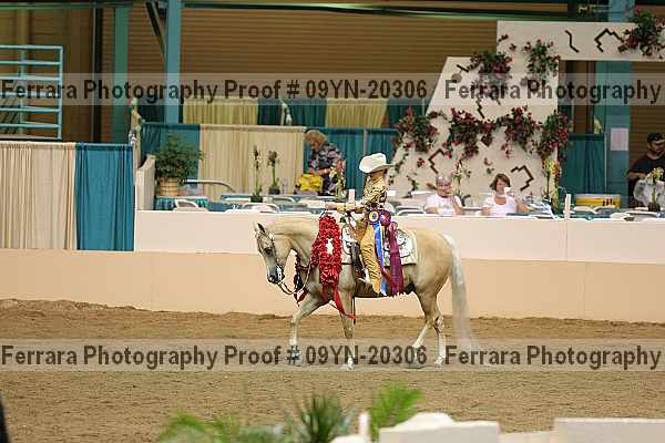 Proof 09yn-20306