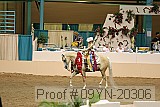 09yn-20306 proof