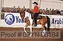 09yn-00184 proof