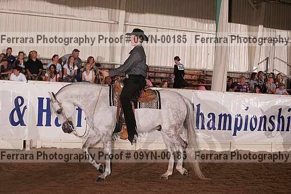 Proof 09yn-00185
