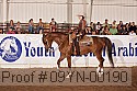 09yn-00190 proof