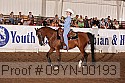 09yn-00193 proof