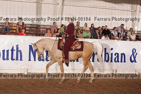 Proof 09yn-00194
