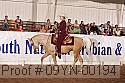 09yn-00194 proof