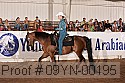 09yn-00195 proof