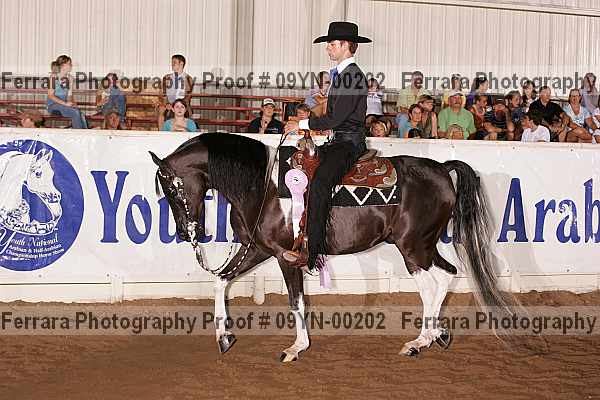 Proof 09yn-00202