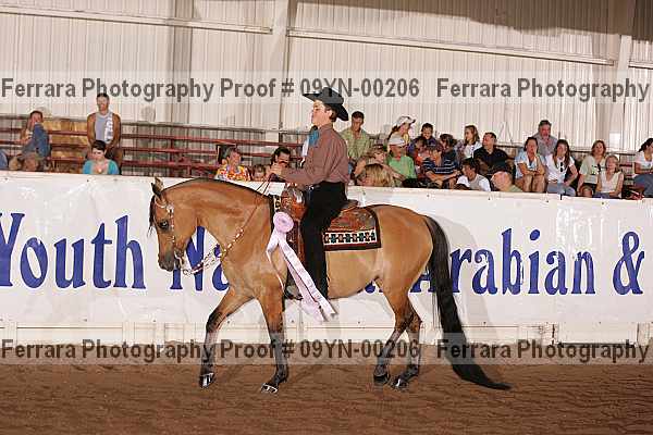 Proof 09yn-00206