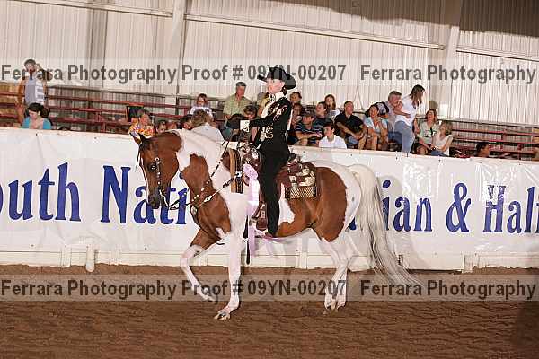 Proof 09yn-00207