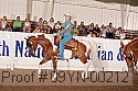 09yn-00212 proof