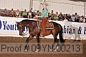 09yn-00213 proof
