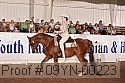 09yn-00223 proof