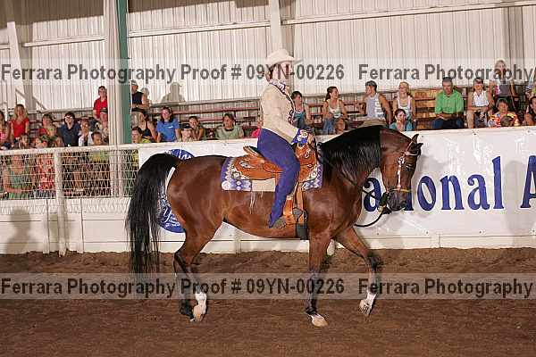 Proof 09yn-00226
