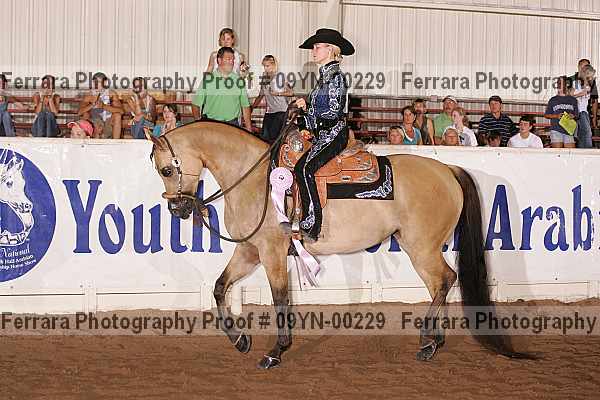 Proof 09yn-00229