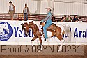 09yn-00231 proof