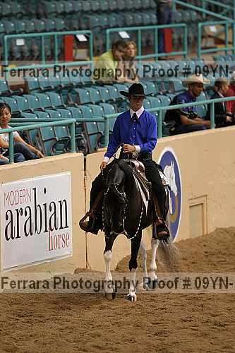 Proof 09yn-11027