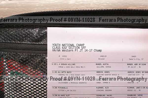 Proof 09yn-11028