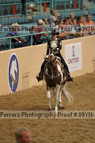 Proof 09yn-11031
