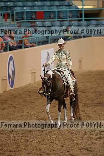 Proof 09yn-11032