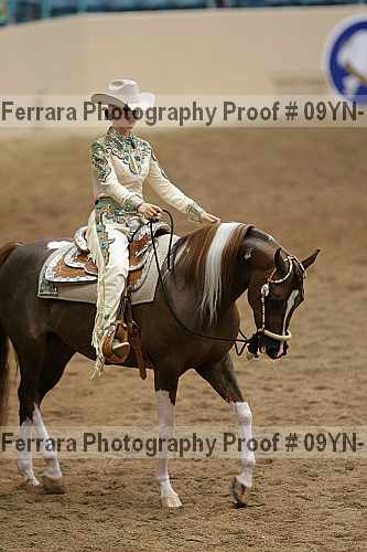 Proof 09yn-11033