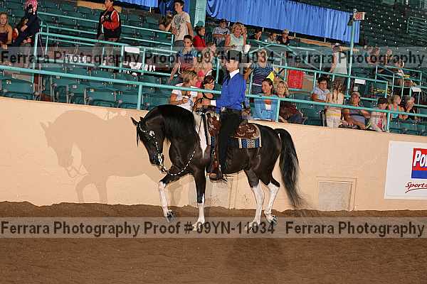 Proof 09yn-11034