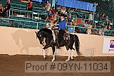 09yn-11034 proof