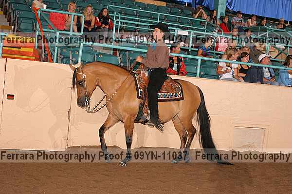 Proof 09yn-11037