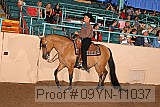 09yn-11037 proof
