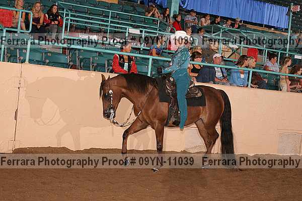 Proof 09yn-11039