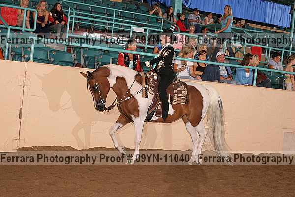 Proof 09yn-11040