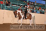 09yn-11040 proof