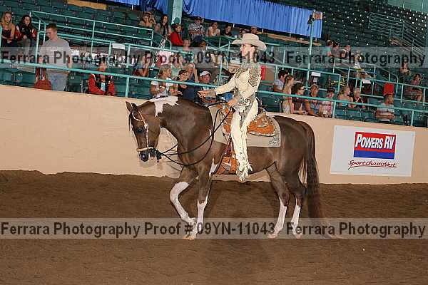 Proof 09yn-11043