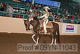 09yn-11043 proof