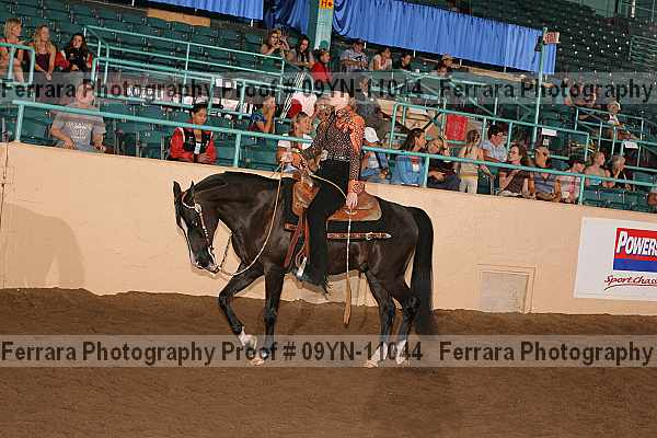 Proof 09yn-11044