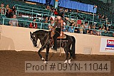 09yn-11044 proof