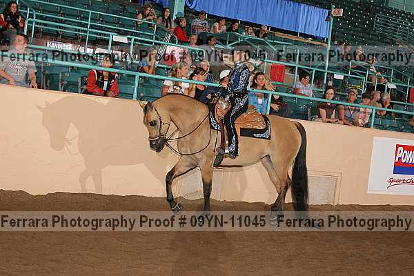 Proof 09yn-11045
