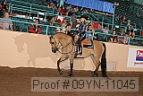 09yn-11045 proof