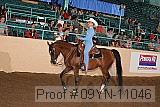 09yn-11046 proof