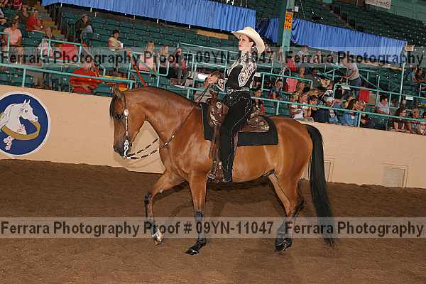 Proof 09yn-11047
