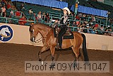 09yn-11047 proof