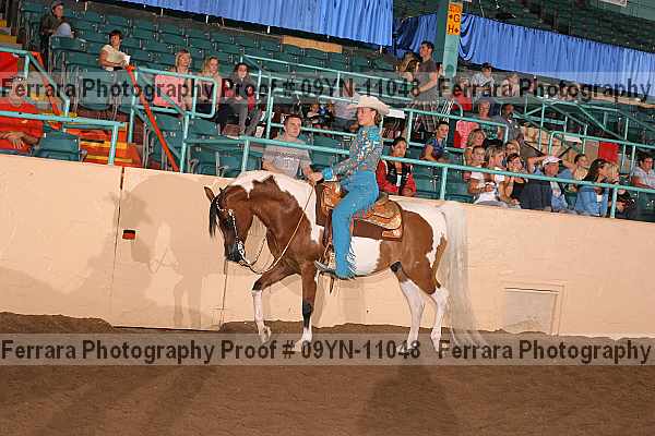 Proof 09yn-11048